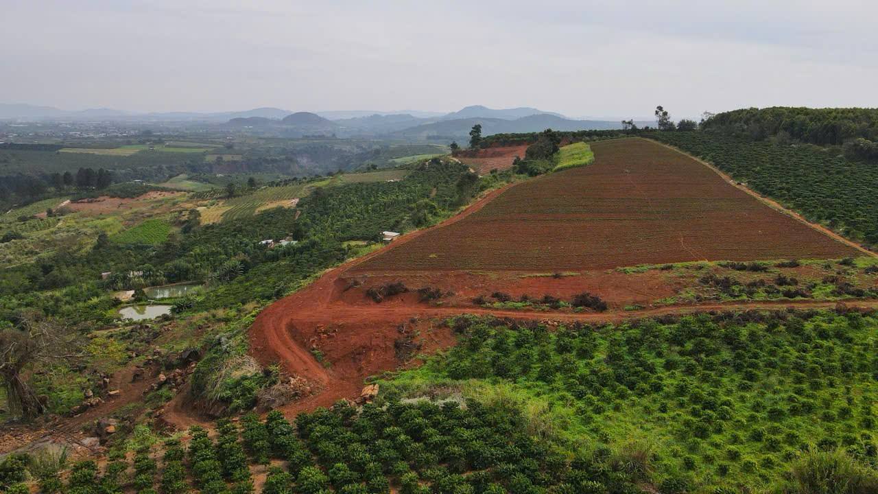 SIÊU PHẨM VIEW ĐỒI - SĂN MÂY – CÓ NHÀ – HỒ CÁ – THÁC NƯỚC - Ảnh 3